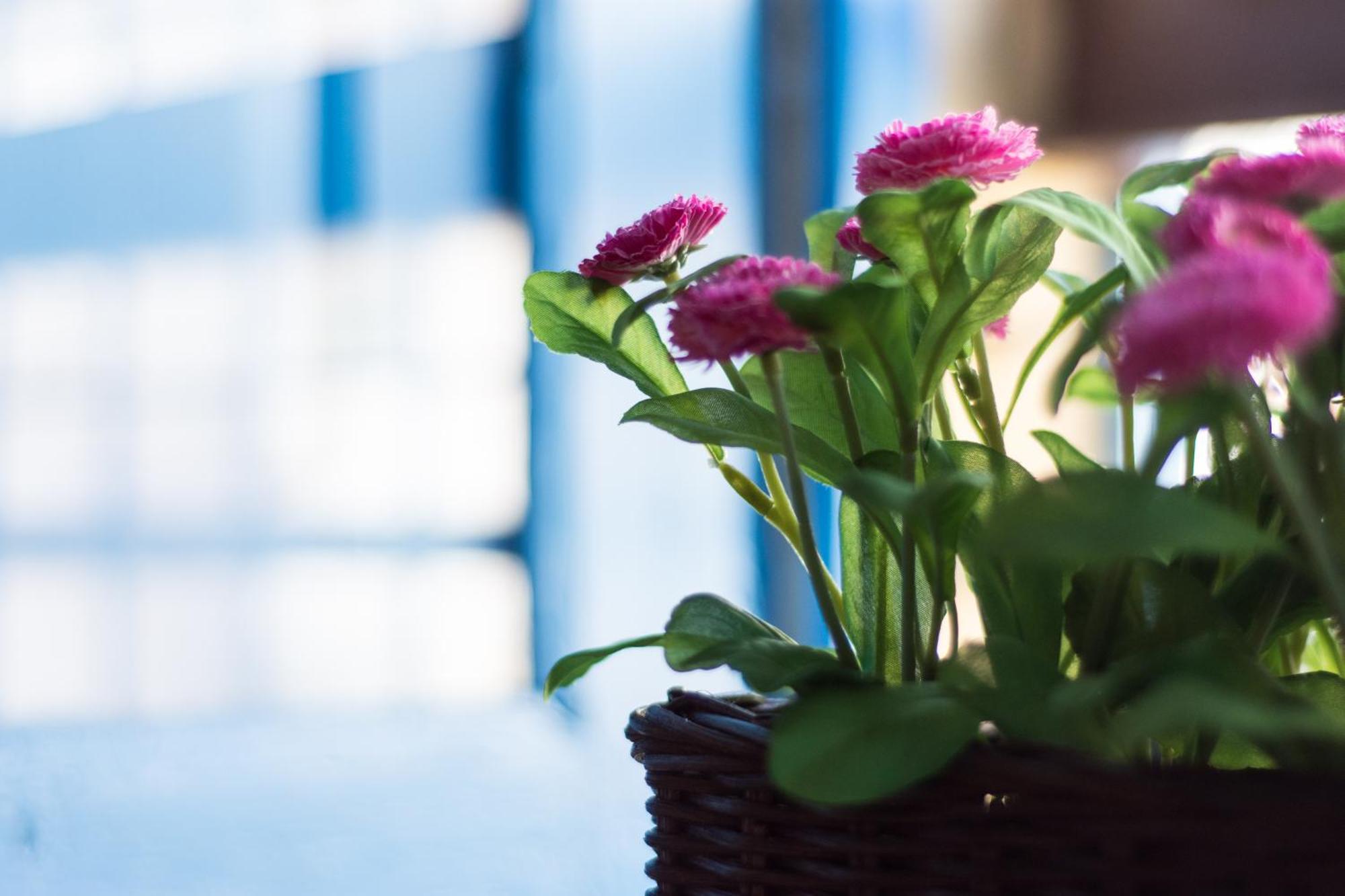 Farm stay Passamonte & Chiaramonte Gulfi